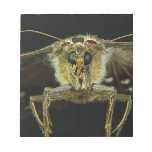 Macro Sluiting van vlinder Notitieblok