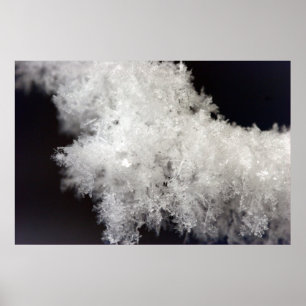 Macro Snowflake Poster