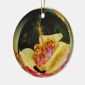 Macro Spotted Yellow Lily Flower Art Ornament (Links)