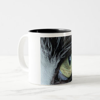 Macro Tuxedo Kat Oog Mok