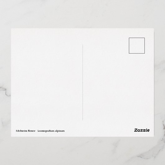 Macro van edelweiss bloem folie feestdagen briefkaart (Achterkant)