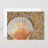 Macro van Scallop Zee Shell in het zand op het str Briefkaart (Voorkant / Achterkant)