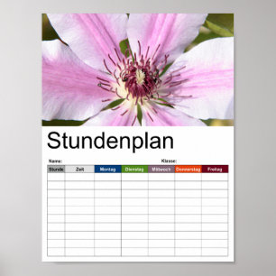 Macro van witte en paarse "Clematis" Poster