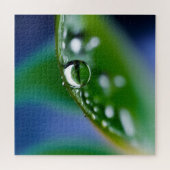 Macro waterdruppels legpuzzel (Horizontaal)