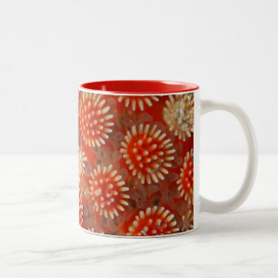 Macro-Zee ster Tweekleurige Koffiemok