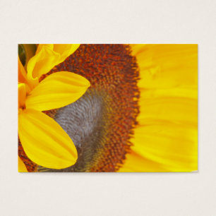 Macro Zonnebloem profielkaart Visitekaartjes