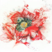 Macrobloesem van de rode Waterverf Sticker (Voorkant)