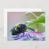 Macrofoto van Bumble Bee Briefkaart (Voorkant / Achterkant)