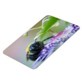 Macrofoto van Bumble Bee Magneet (Linkerzijde)