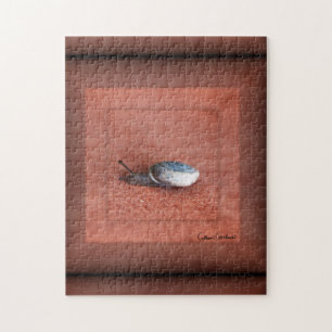 Macrofoto van slak op Terracotta Legpuzzel