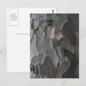 Macrofotografie boomschors briefkaart (Voorkant / Achterkant)