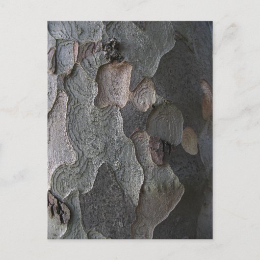 Macrofotografie boomschors briefkaart (Voorkant)