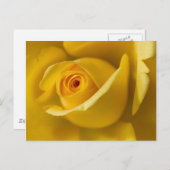 Macrogeel Rose Briefkaart (Voorkant / Achterkant)