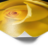 Macrogeel Rose Foto Afdruk (Hoek)