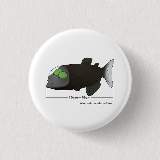 Macropinna microstoma werkelijke grootte ronde button 3,2 cm (Voorkant)