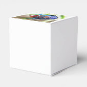 Macropodus Opercularis Aquarium vis Bedankdoosjes (Achterkant)