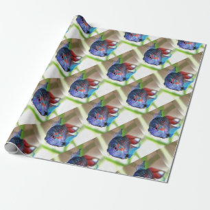 Macropodus Opercularis Aquarium vis Cadeaupapier