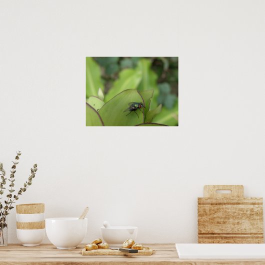 Macroprint van vlieg poster (Keuken)