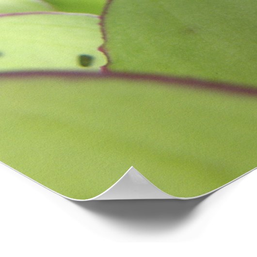 Macroprint van vlieg poster (Hoek)