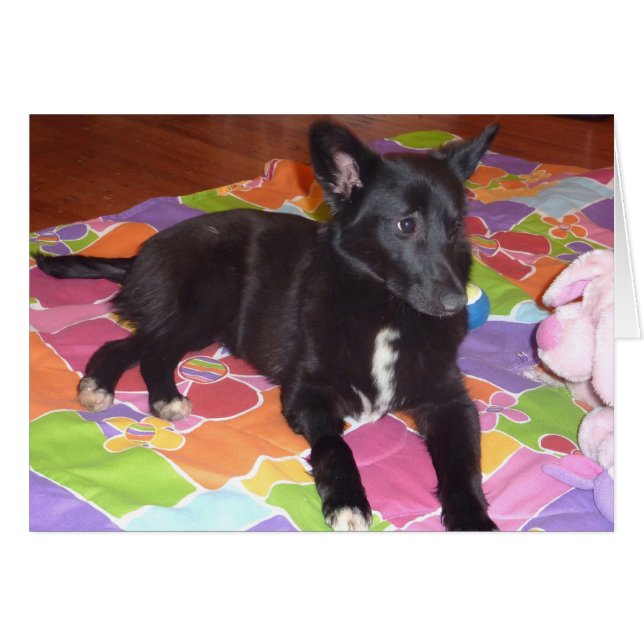 Macy (Devant horizontal)