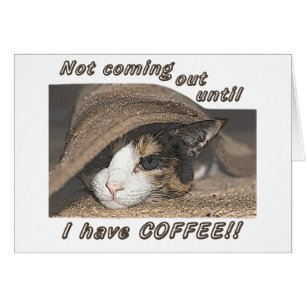 Macy Veux Du Café Trop Penser À Toi