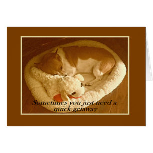 "Macy with Lamb Chop" 5 x 7 Carte avec Enveloppe