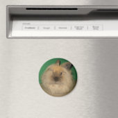Mad Bunny Magneet (Insitu (Vaatwasser))