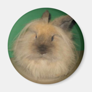 Mad Bunny Magneet