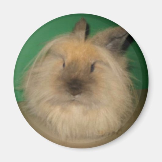 Mad Bunny Magneet (Voorkant)
