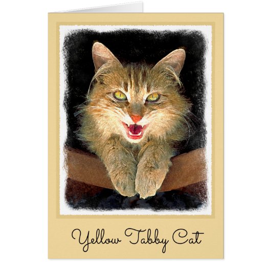 Mad Cat Painting - Cute Original Cat Art (Voorkant)