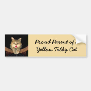 Mad Cat Painting - Cute Original Cat Art Bumpersticker