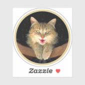 Mad Cat Painting - Cute Original Cat Art Sticker (Vel)