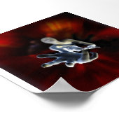 MAD HOLE POSTER (Hoek)