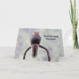 Mad Squirrel Kaart