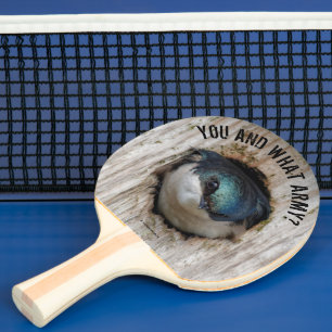 Mad Tree Swallow Songbird in Nestbox Tafeltennisbatje