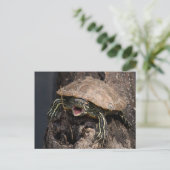 Mad Turtle Briefkaart (Staand voorkant)