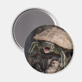 Mad Turtle Magnet Magneet (Voorkant / Achterkant)