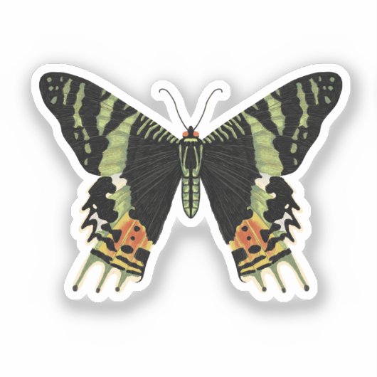 Madagascan Sunset Moth Sticker (Voorkant)