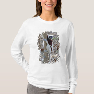 Madagascar, Ankarafantsika Reserve; Ampijoroa; T-shirt