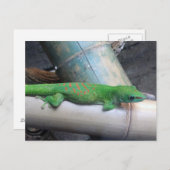 Madagascar Giant Day Gecko Briefkaart (Voorkant / Achterkant)