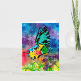 Madagascar Splash Profiel Kaart