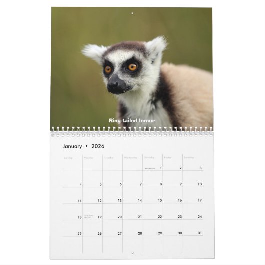 Madagascar Wildlife Kalender (Jan 2026)
