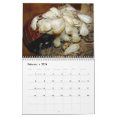 Madagasgar Hissing Cockroaches Wall Agenda Kalender (Feb 2026)