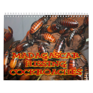 Madagasgar Hissing Cockroaches Wall Agenda Kalender