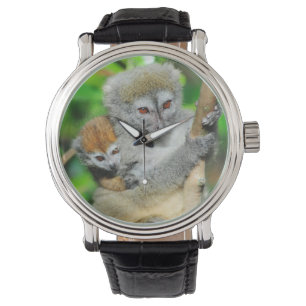 Madagaskar, Andasibe, Ile Aux Lemuriens, moeder Horloge