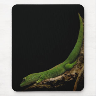 Madagaskar-dag Gecko mousepad Muismat