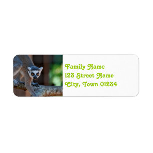 Madagaskar Lemur Etiket