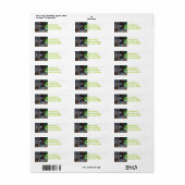 Madagaskar Lemur Etiket (Full Sheet)