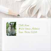 Madagaskar Lemur retour adres label (Insitu)