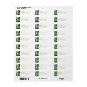 Madagaskar Lemur retour adres label (Full Sheet)